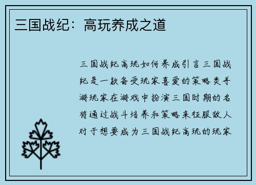 三国战纪：高玩养成之道