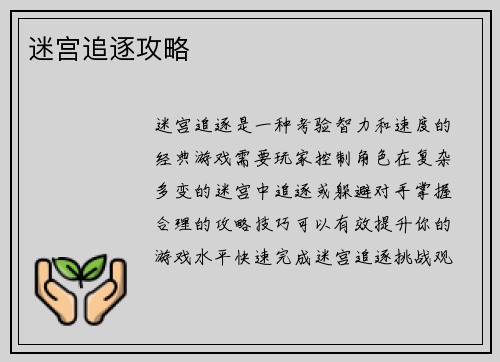 迷宫追逐攻略