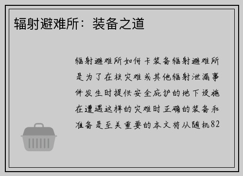 辐射避难所：装备之道